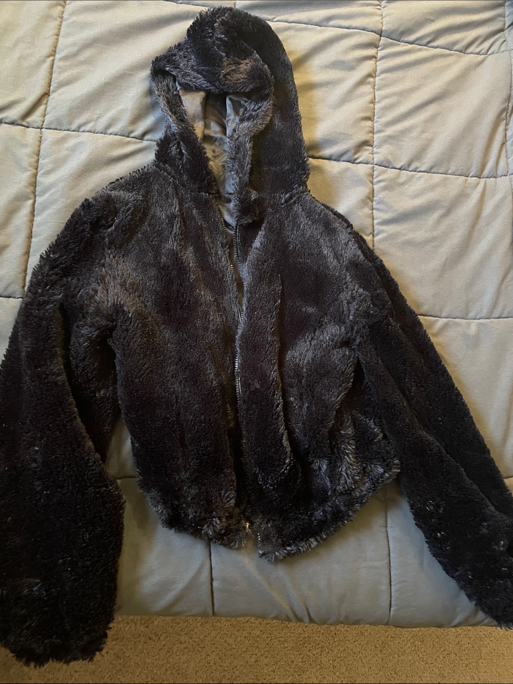 Ambiance Plush Hooded Teddy Jacket in Black